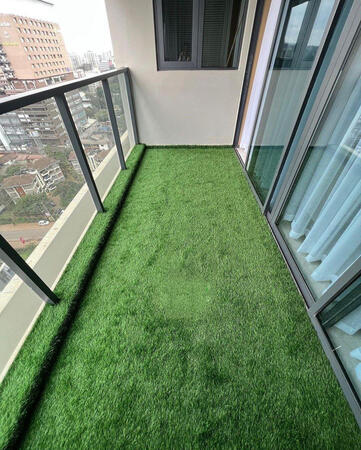 Turf grass